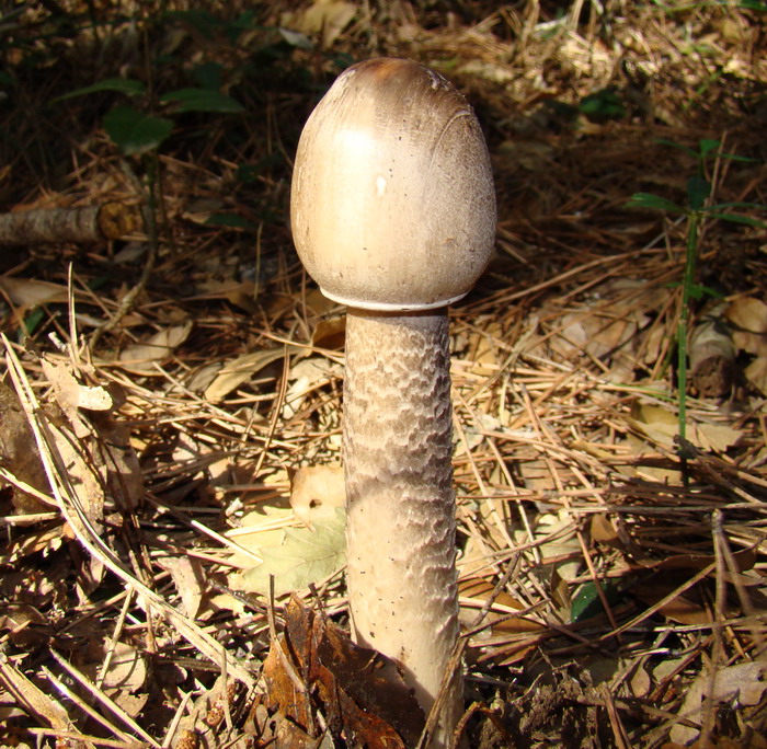 Escursione nel Parco nazionale del Circeo